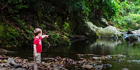 NaturallyGC Kids Creek Connections