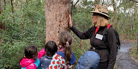 Spy Kids - Lane Cove Bush Kids