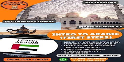 Modern Standard Arabic Basic Course (for beginners) primary image