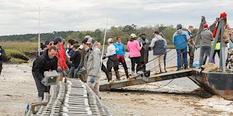 MCAS Living Shoreline Build #4