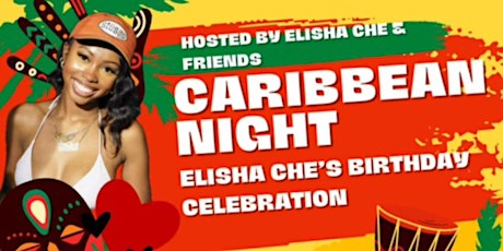 Elisha’s Birthday Bash Caribbean Night