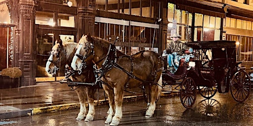 Primaire afbeelding van Vis-à-Vis Carriage Rides