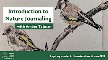 Immagine principale di Introduction to Nature Journaling 