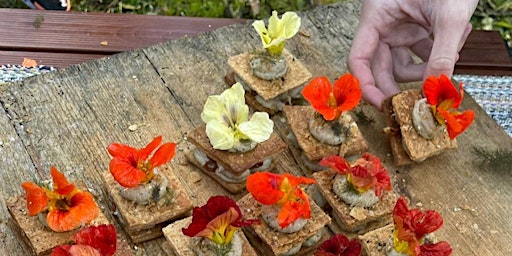 FORAGE & NIBBLE in Marlborough primary image