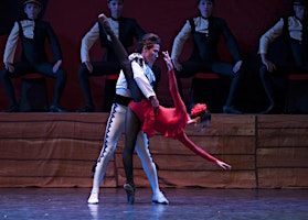 Imagem principal de The night of the ballet event was extremely special