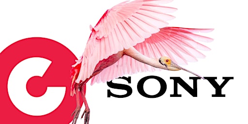 Sony Vortrag Hamburg: Das Sony ONE MOUNT primary image