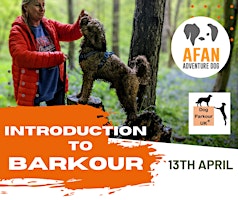 Introduction to Barkour (Dog Parkour) primary image