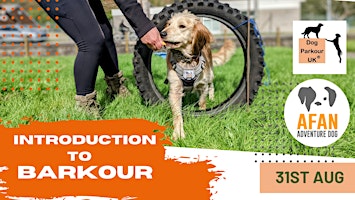 Imagem principal do evento Introduction to Barkour (Dog Parkour)