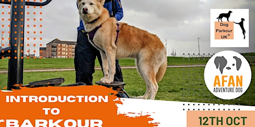 Hauptbild für Introduction to Barkour (Dog Parkour)