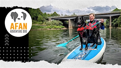 Introduction to Dog SUP