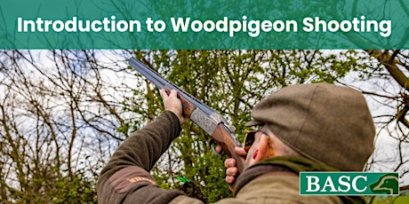 Introduction to Woodpigeon Shooting- Bedfordshire