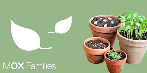 Imagem principal de City Gardening Family Workshop