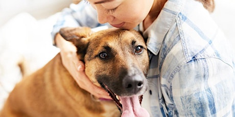 Animal Assisted Therapy: History And  Applicability To Trauma Treatment
