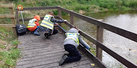 Family event - pond dipping