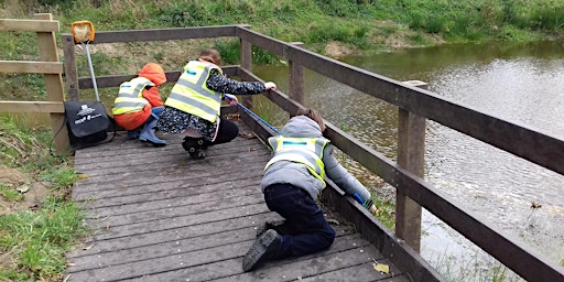 Family event - pond dipping primary image