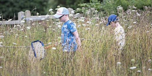 Imagen principal de Wildfamilies Pond Dipping and Minibeast Hunting at The Wolseley Centre