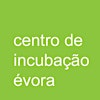 Logótipo de Centro de Incubação de Évora