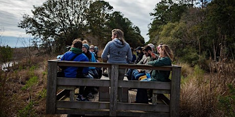 Bear Island Birding Tour - Southeast Shorebird Festival Week