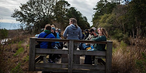 Bear Island Birding Tour - Southeast Shorebird Festival Week primary image