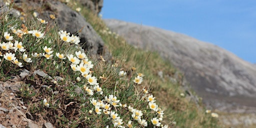 Image principale de The amazing limestone valley at Inchnadamph