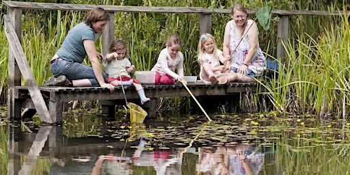 Wildlife Watch - Pond dipping primary image