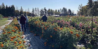 Primaire afbeelding van Edmonton Area Flower Farmer Mixer