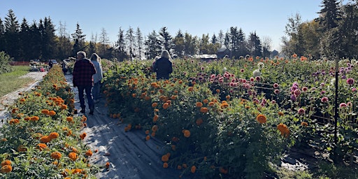 Imagem principal de Edmonton Area Flower Farmer Mixer