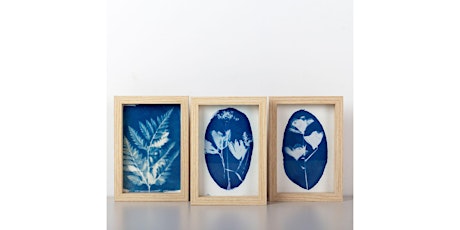 Atelier cyanotype