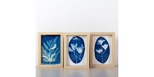 Image principale de Atelier cyanotype