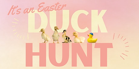 The Easter Duck Hunt