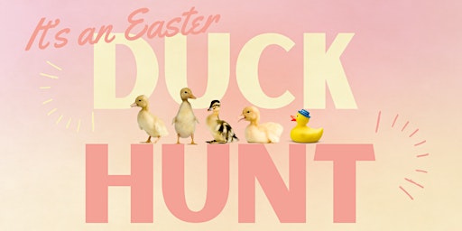 Imagem principal do evento The Easter Duck Hunt