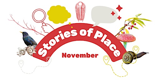 Stories of Place primary image