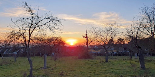 So,21.04.24 Wanderdate Sanddüne zum Sonnenberg in Darmstadt für 40-65J primary image