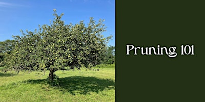 Pruning 101 primary image