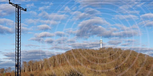 Electromagnetic Field (EMF) Pollution with Michelle Russell primary image