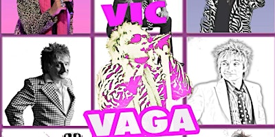 Vic Vaga That Rod Guy - Rod Stewart Tribute primary image