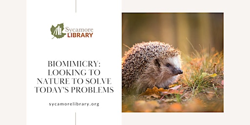 Biomimicry: Looking to Nature to Solve Today's Problems  primärbild