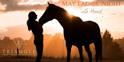 May Ladies' Night with Horses!  primärbild