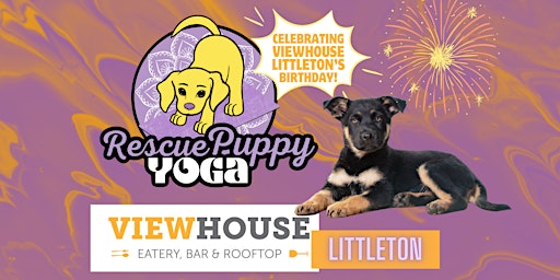 Rescue Puppy Yoga - ViewHouse Littleton primary image