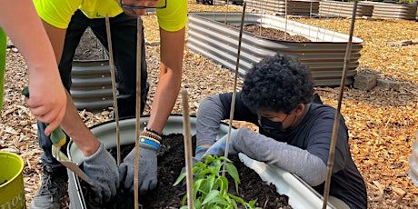 Garden Crew - Afterschool Program (Grades 6-12)