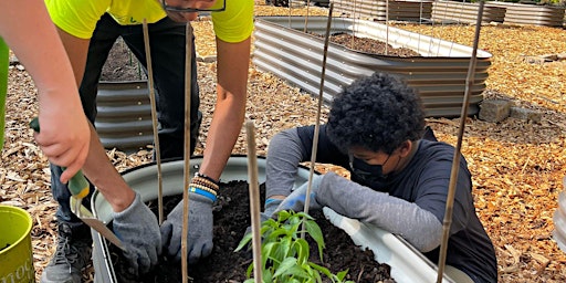 Image principale de Garden Crew - Afterschool Program (Grades 6-12)