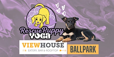 Rescue Puppy Yoga - ViewHouse Ballpark primary image