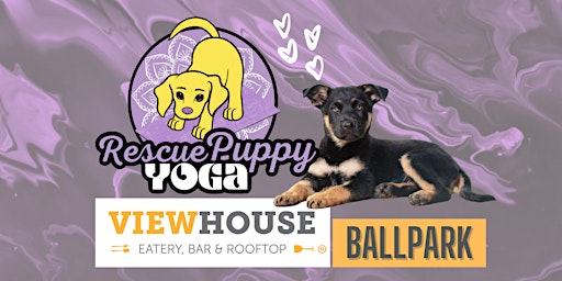 Primaire afbeelding van Rescue Puppy Yoga - ViewHouse Ballpark