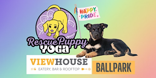 Imagem principal do evento Rescue Puppy Yoga - ViewHouse Ballpark