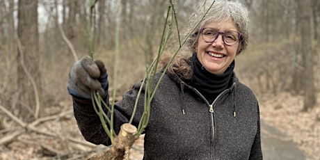 Spring Into Action: Forest Restoration Fridays | Van Cortlandt Park