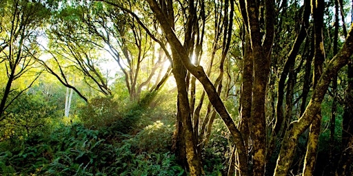 Imagem principal de Biodiverse Biomes of Tomales Bay State Park