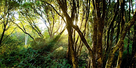 Biodiverse Biomes of Tomales Bay State Park