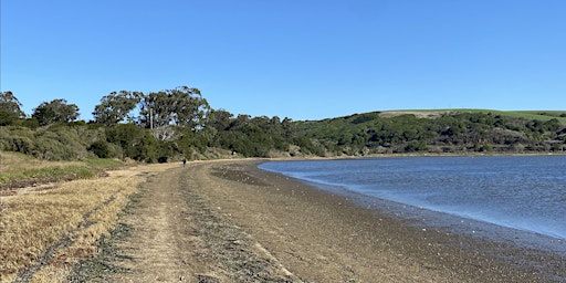 Immagine principale di Marine Debris Monitoring with Tomales Bay State Park x NOAA 