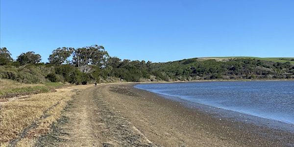Marine Debris Monitoring with Tomales Bay State Park x NOAA