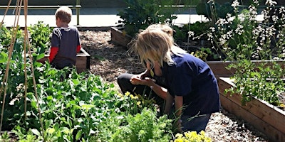 Immagine principale di Kids Hands-On Vegetable Gardening Workshop 